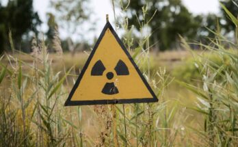 Primer cementerio nuclear de Japón estará en el norte