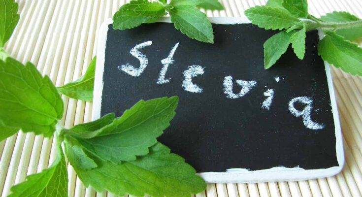 La Stevia, tema de tesis de grado de noveles profesionales floridanos