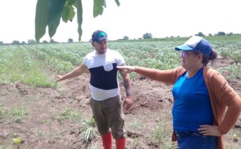 La 1ra. Secretaria del Partido en Florida Liliana Boudet Nápoles Lili pidió trabajar con toda la cultura posible en cada uno de los lugares...