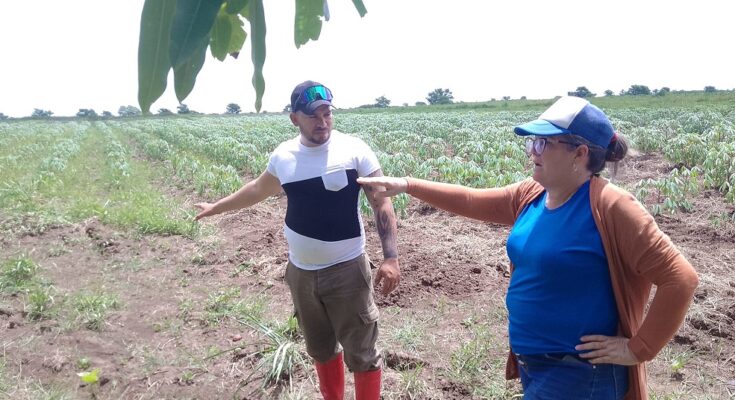 La 1ra. Secretaria del Partido en Florida Liliana Boudet Nápoles Lili pidió trabajar con toda la cultura posible en cada uno de los lugares...