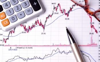 La matemática de la economía y la sociedad