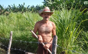 Juan Lázaro Clemente, un campesino floridano empeñado en producir alimentos