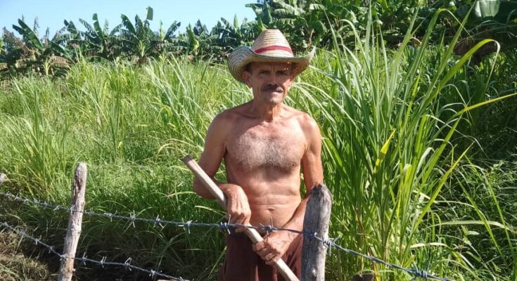 Juan Lázaro Clemente, un campesino floridano empeñado en producir alimentos