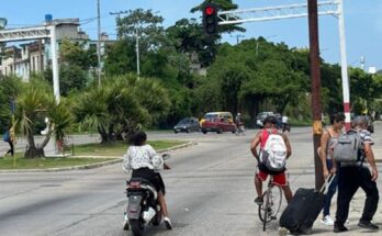Crónica de una botellera en apuros