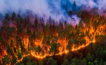 Clases virtuales en capital ecuatoriana por incendios forestales