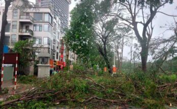 Vietnam trabaja por resarcir daños ocasionados por supertifón Yagi