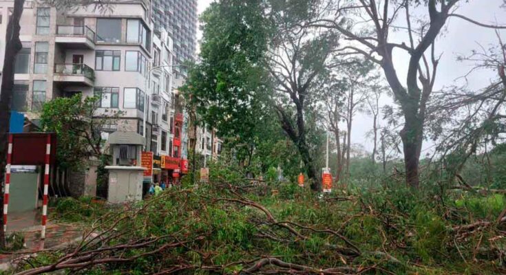 Vietnam trabaja por resarcir daños ocasionados por supertifón Yagi