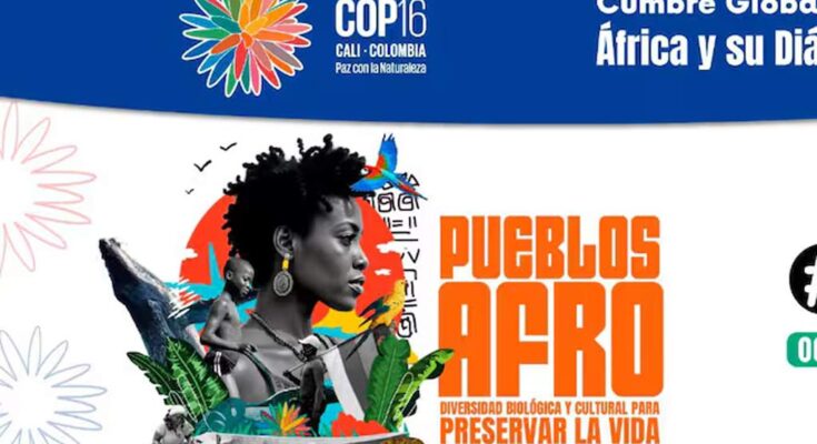 Celebran cumbre sobre afrodescendencia y biodiversidad en Colombia