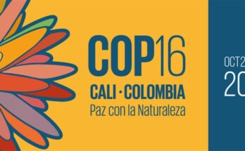 Cuba presentará Programa Nacional sobre Diversidad Biológica en COP16