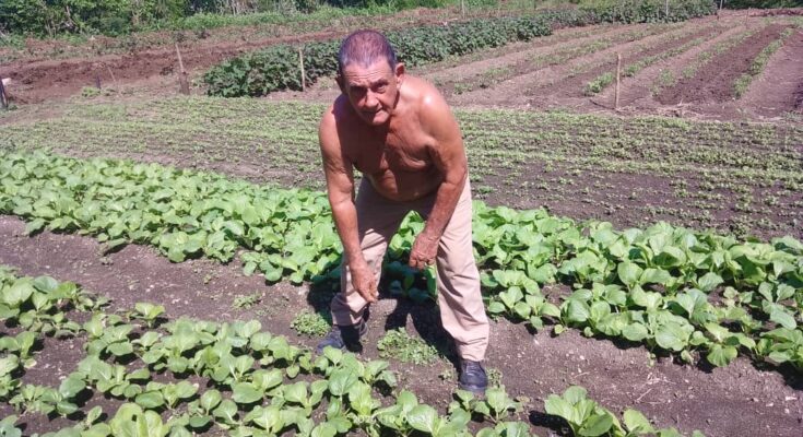 Ortelio González Soler y su vocación agroecológica