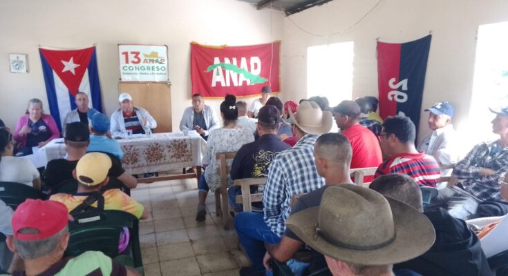 Espíritu crítico y autocrítico presente en proceso de balance de los campesinos floridanos