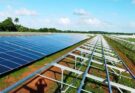 Buscan comenzar a generar electricidad en el Parque Solar Fotovoltaico Ortigal de Florida