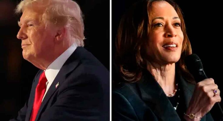 Elecciones en EEUU, mañana duelo final