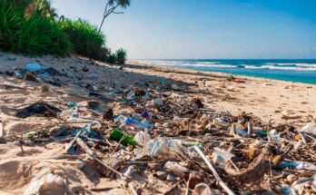 Denuncian alto nivel de contaminación plástica en playas de Indonesia