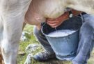 Señalan a varias entidades agrícolas en Florida por atrasos en la conciliación lechera