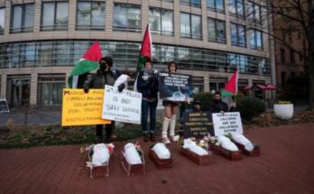 Microsoft apoyó guerra genocida israelí en Gaza con IA