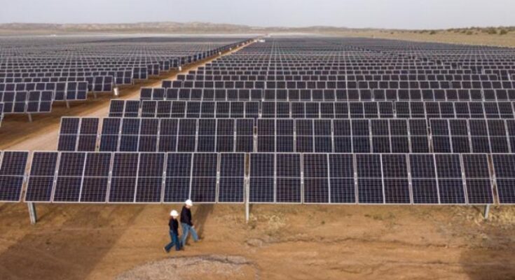 De Cuba / Un poco de todo A buen paso en su primer mes de vida el parque solar cienfueguero Alcalde Mayor