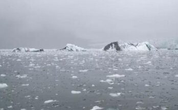 La Organización Meteorológica Mundial predice más calor, el efecto invernadero sin fin