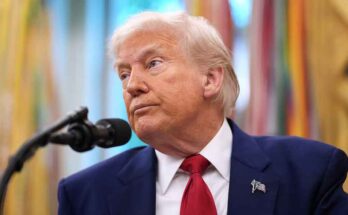 El tema ocupa espacios en medios locales. La sentencia de este miércoles que frenaría la capacidad de Trump para imponer algunos de sus aranceles más amplios también puede haber asestado un duro golpe a toda la agenda económica del mandatario republicano. La principal política económica de Trump ha sido la imposición histórica de aranceles, pero el Gobierno ha descrito sus agresivas medidas comerciales como solo una pata de un taburete de tres patas, dijo CNN. Basada en aranceles, recortes de gasto y recortes de impuestos, la agenda económica de Trump se basa en estos tres componentes para mantenerse firme, añadió la cadena de noticias. La administración Trump ha justificado los aranceles citando una ley de 1977 que le daría al Presidente el poder de regular las importaciones durante ciertas situaciones de emergencia, destacó CBS News. Pero el tribunal rechazó la víspera la interpretación del gobierno de esta ordenanza y dijo que sería inconstitucional que cualquier ley aprobada por el Congreso otorgue al presidente autoridad general para establecer aranceles. El Gobierno de Trump apeló de inmediato, dejando la situación incierta para consumidores y empresas, y posiblemente prolongando la disputa sobre si estas tarifas se mantendrán, lo que podría remodelar la economía global. Un panel de tres jueces de la Corte de Comercio Internacional de Estados Unidos, en Manhattan, emitió el veredicto para frenar esos aranceles globales que Trump impuso invocando poderes económicos de emergencia, incluidos los del pasado 2 de abril que él llamó “Día de la Liberación”. La sentencia también bloquea los gravámenes impuestos a principios de este año contra China, México y Canadá, que dispuso para combatir la presunta entrada de fentanilo a Estados Unidos. El tribunal se pronunció a favor de una orden de restricción permanente que dejará en pausa los aranceles globales de Trump antes de que se hayan alcanzado “acuerdos” con la mayoría de los demás socios comerciales. De tal manera la mayor parte de las tarifas -no todas- tienen puesto un semáforo en rojo. Los aranceles del 30 por ciento a China, los del 25 por ciento sobre algunos productos importados de México y Canadá, y los universales del 10 por ciento sobre la mayoría de los bienes que ingresan a Estados Unidos. Sin embargo, no toca los impuestos del 25 por ciento a los autos, autopartes, acero o aluminio, que están sujetos a la Sección 232 de la Ley de Expansión Comercial, una ordenanza que difiere a la que Trump citó desatar su guerra comercial. Como era de esperar, los mercados enseguida se sacudieron. El portavoz de la Casa Blanca, Kush Desai, reaccionó al fallo defendiendo el razonamiento de los aranceles de que los déficits comerciales de los Estados Unidos con otros países han «creado una emergencia nacional que ha diezmado las comunidades estadounidenses». «No es para jueces no elegidos decidir cómo abordar adecuadamente una emergencia nacional. El presidente Trump se comprometió a poner a Estados Unidos primero, y la administración se compromete a utilizar cada palanca de poder ejecutivo para abordar esta crisis y restaurar la grandeza estadounidense», advirtió en un comunicado. La demanda fue presentada en abril por el grupo de defensa legal libertario Liberty Justice Center en representación de la distribuidora de vinos VOS Selections y otras cuatro pequeñas empresas que alegaron haber sido gravemente perjudicadas por los aranceles. Según detalló CNN, el panel tomó una decisión unánime, publicando una opinión sobre la demanda de VOS y también sobre otra presentada por 12 estados demócratas contra las tarifas de Trump. El 2 de abril, Trump anunció sus aranceles “recíprocos”, aunque el 9 de abril decidió una pausa de 90 días, pero mantuvo el impuesto universal del 10 por ciento sobre la mayoría de los bienes que ingresan a Estados Unidos.