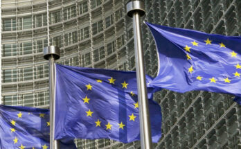 Problemas de la UE son de origen interno, aseguran en Austria