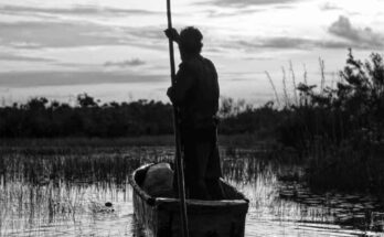 “Al Oeste, en Zapata”, un documental sobre Cuba (+Fotos)