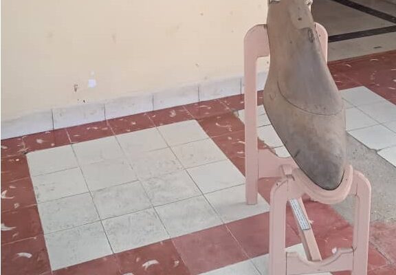 horma de zapato que perteneció a la zapatería “La Reina”, propiedad de Prudencio Lahera.