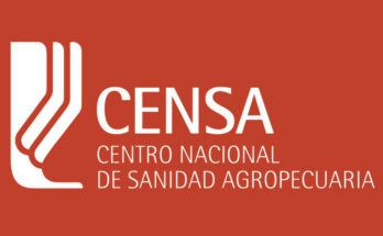 Recibirá experta cubana condición de Académica Correspondiente