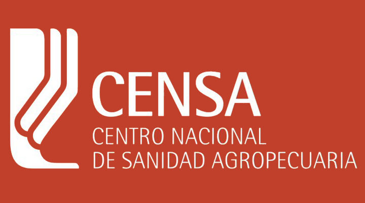 Recibirá experta cubana condición de Académica Correspondiente