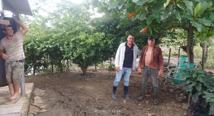 Imagen no encontrada