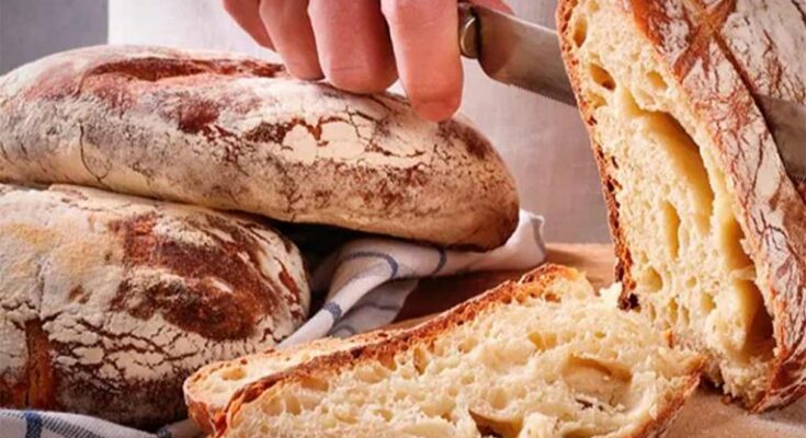 Científicos rusos crean especialmente un pan para el Ártico