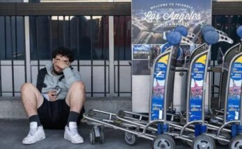 La ignominia hecha gobierno