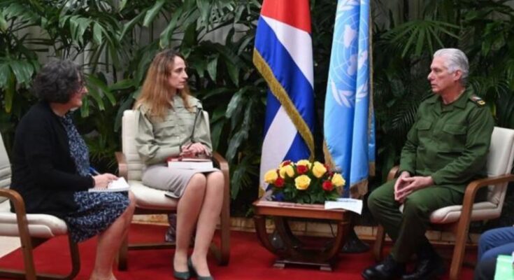 Recibió Díaz-Canel a relatora especial del Consejo de Derechos Humanos de las Naciones Unidas