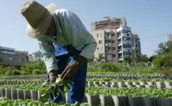 Analizarán en Cuba programa gubernamental para dinamizar la economía