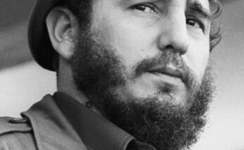 “Laureles y Olivos”: un homenaje musical a Fidel Castro (+ Videos)