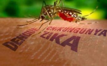 Foto: Tomada del periódico Venceremos