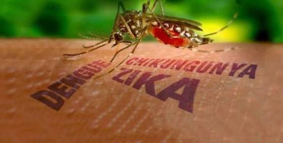 Foto: Tomada del periódico Venceremos