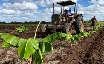 Camagüey: Intenso trabajo definió Programa de Gobierno en 2025 (+ Fotos)