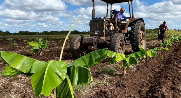 Camagüey: Intenso trabajo definió Programa de Gobierno en 2025 (+ Fotos)