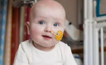 Un niño de pocos meses entre los protagonistas de la ciencia de 2025