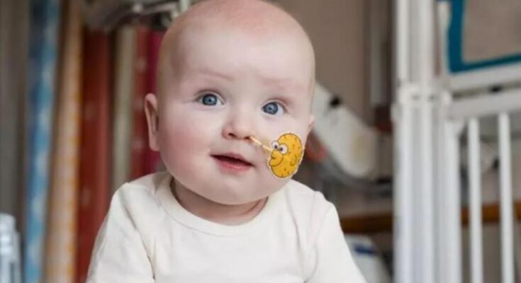 Un niño de pocos meses entre los protagonistas de la ciencia de 2025