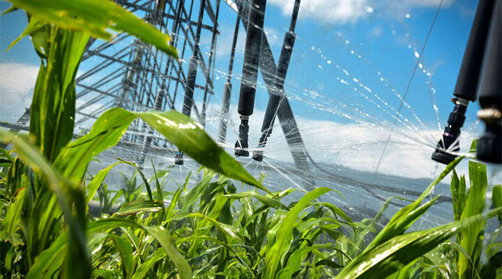 Aplican en Holguín medidas de protección de suelos agrícolas