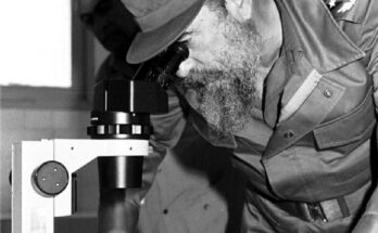 La ciencia y la economía cubana: En el umbral del 2026