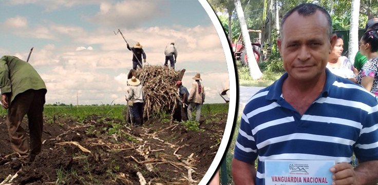 Florida Cooperatives Committed to the Sugar Harvest (+Audio)