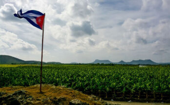 Contribuyen desde la ciencia a soberanía alimentaria en Holguín