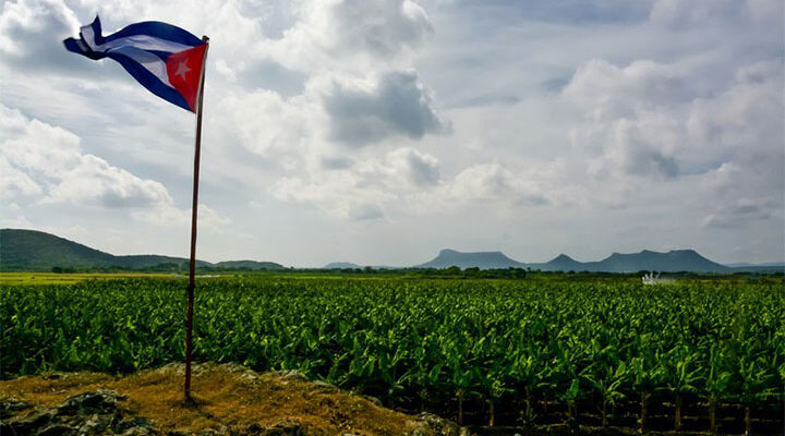 Contribuyen desde la ciencia a soberanía alimentaria en Holguín