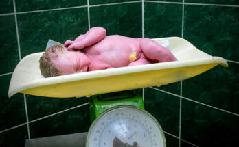 Garantizan funcionamiento de equipos de pesaje en Holguín