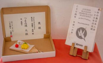 Entre palmas y cerezos: Cuba y Japón celebran lazos de amistad (+ Fotos)