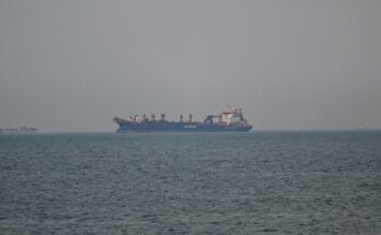 Primeros buques cruzan el estrecho de Ormuz tras tregua