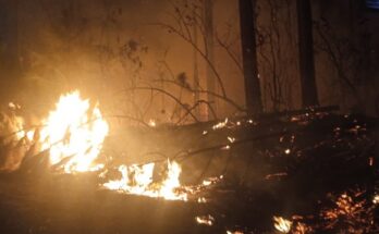 Incendio forestal en zona montañosa La Lanza, Minas de Matahambre, ha dañado más de 400 hectáreas de bosques desde el 10 de abril