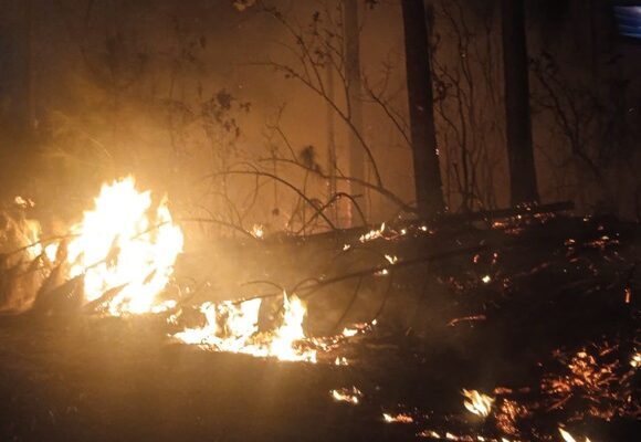Incendio forestal en zona montañosa La Lanza, Minas de Matahambre, ha dañado más de 400 hectáreas de bosques desde el 10 de abril